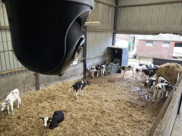 barn camera igh-definition livestock monitoring camera installed in a barn, providing 24/7 surveillance and animal activity tracking