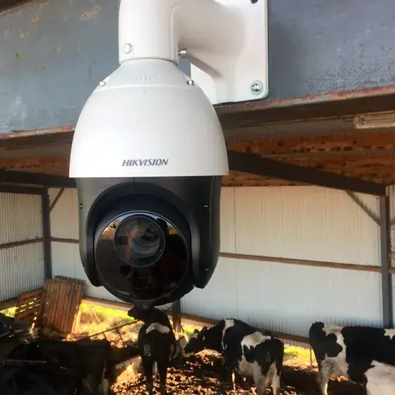 ptz barn camera PTZ CCTV camera overlooking a large farm, enabling real-time monitoring of livestock with zoom functionality for close-ups